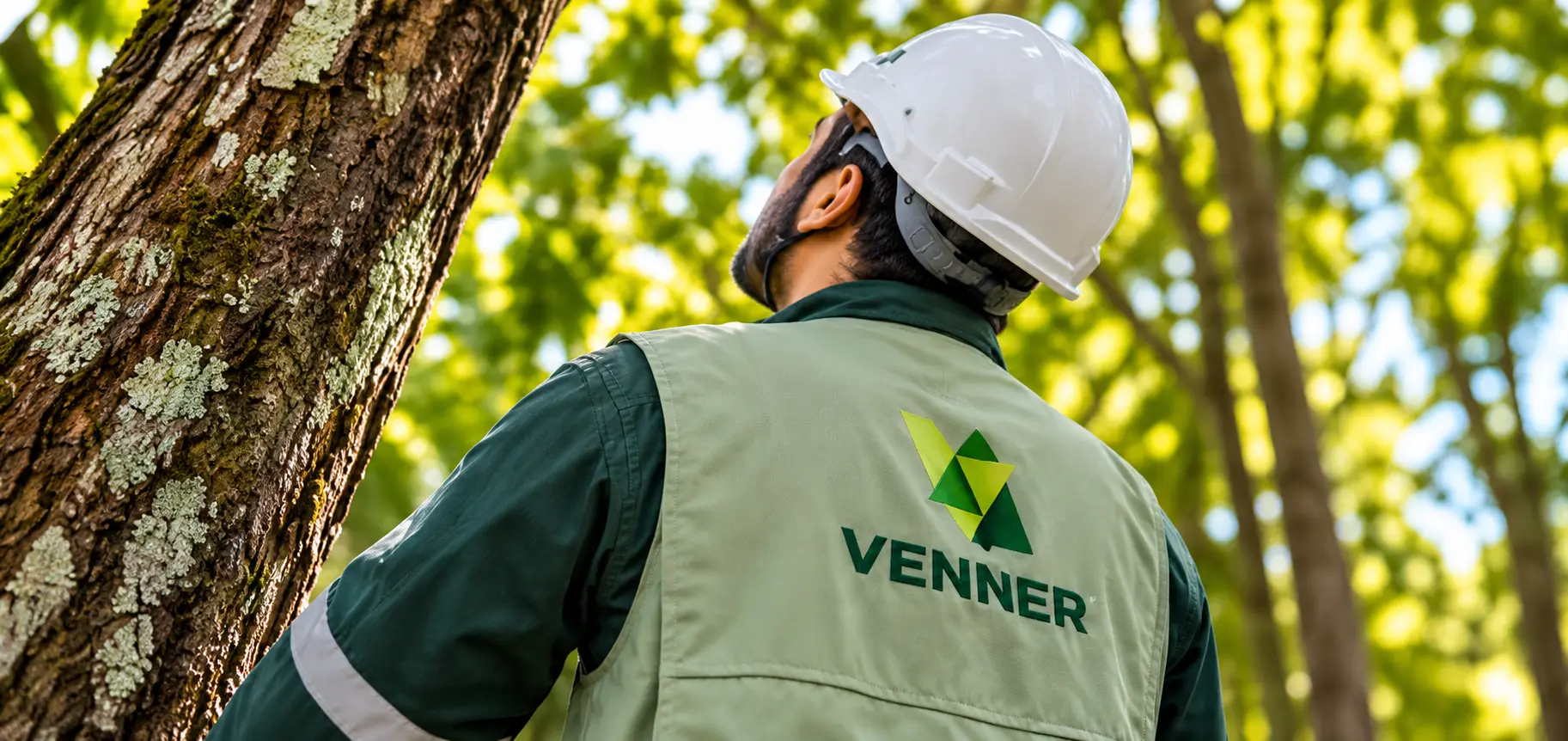 Assessoria Ambiental Mensal